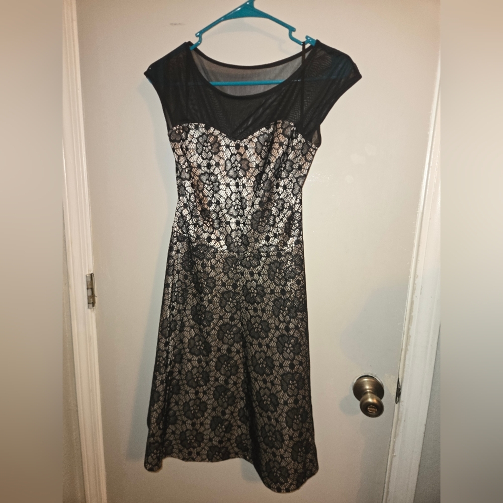 Enfocus Studio Black and White Lace Midi Dress